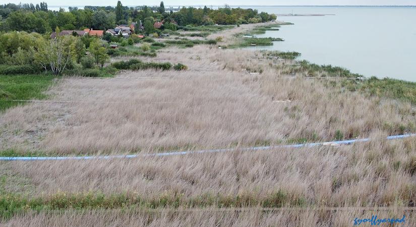 Hatalmas területen pusztul a balatoni nád, győri újságíró lesz Borkai és Dézsi kihívója