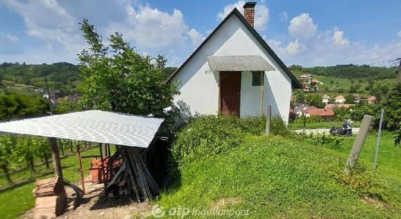 A borok szerelmese? Saját borra vágyik? Van egy ajánlatunk!
