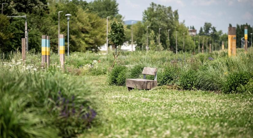 A III. kerületi Pünkösdfürdő park kapta idén az Európa Zöld Városa Nemzeti díjat