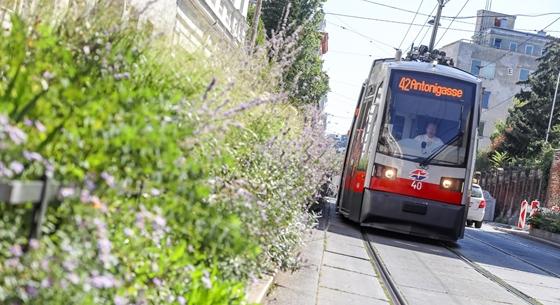 Mostantól 140 ezer forintja bánhatja, ha a közlekedést akadályozva parkol Bécsben