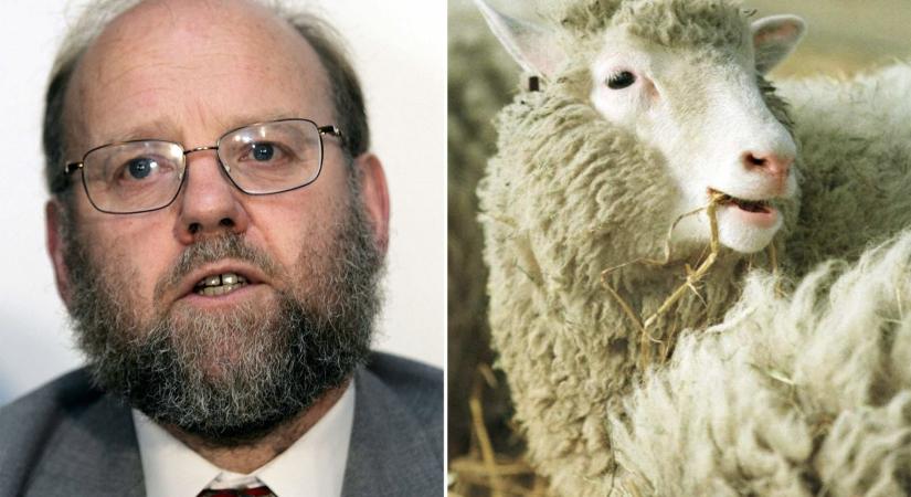 Elhunyt Dolly, az első klónbirka megalkotója
