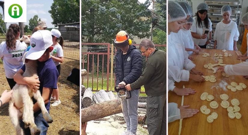 Általános iskolások között népszerűsíti az agrárszakmákat a NAK