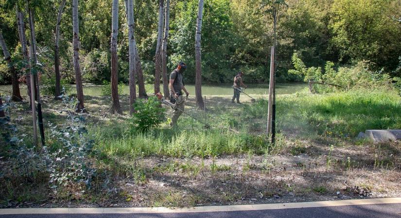 A horgászok nagy örömére rendbe tették a Kis-Tisza partját
