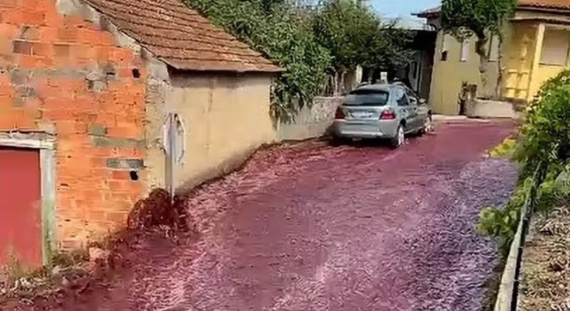 Rettentően bizarr látvány, ahogy kétmillió liter vörösbor mossa el a portugál falu utcáit