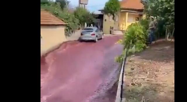 Borfolyó lepett el egy portugál kisvárost: 3 millió palack ment kárba