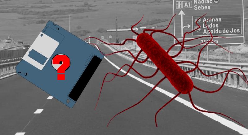 Hurrá, jövőre kerek 1000 kilométernyi autópálya lesz Romániában!