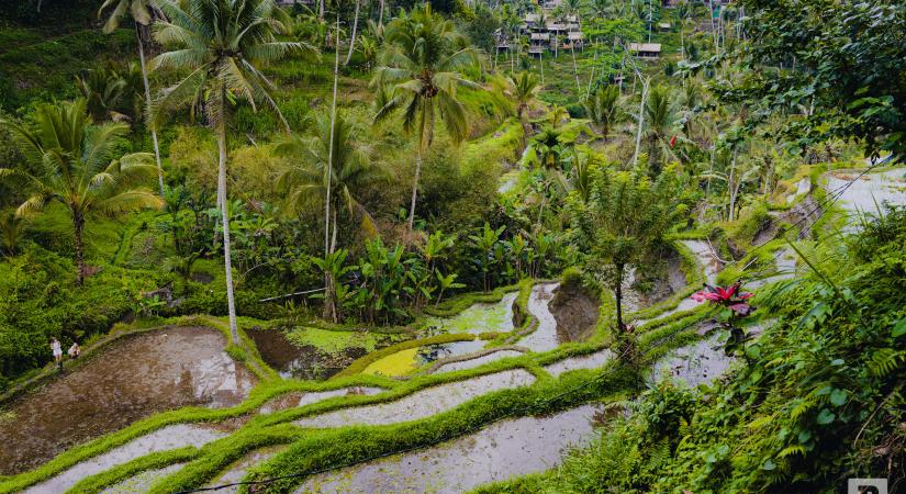 Bali az istenek szigete. Volt!