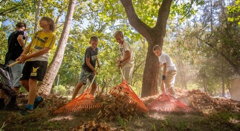 Lakossági összefogás a Széchenyivárosban: parkot takarítottak és együtt piknikeztek a lakók – galériával