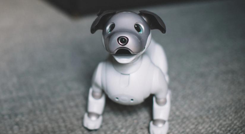 Új életet kapnak az öreg robotkutyák