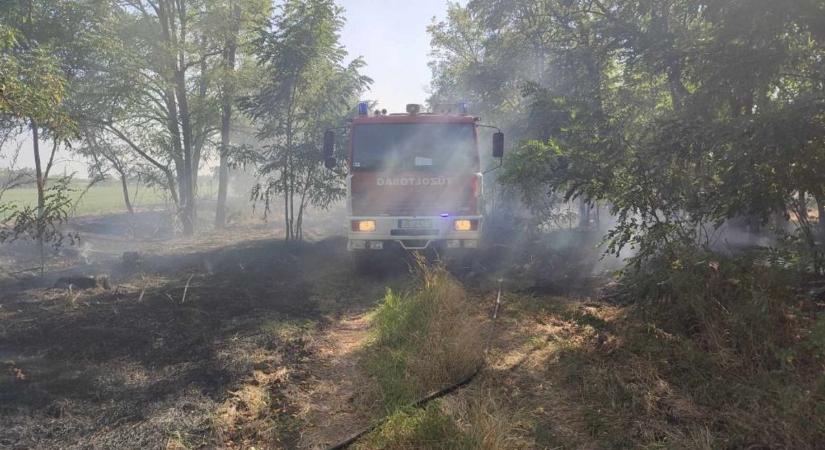 Homoktövis-ültetvényen pusztítottak a lángok, két város tűzoltóit is riasztották a szolnoki esethez