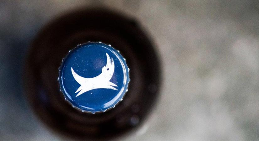 Íme a BrewDog és a Budweiser China közös biznisze