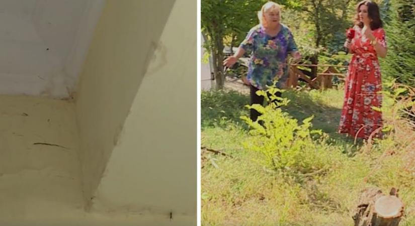 „Tiszta dzsuva az egész!” – Oszvald Marika megmutatta vihar sújtotta otthonát