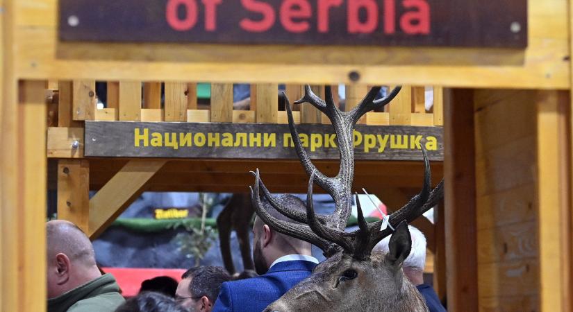 Szerbia: Balesetveszélyesek a latin betűs táblák