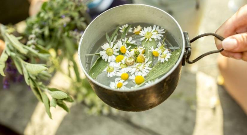 7 isteni finom tea stressz és szorongás ellen - Nyugtatják a lelket és felüdítik a testet
