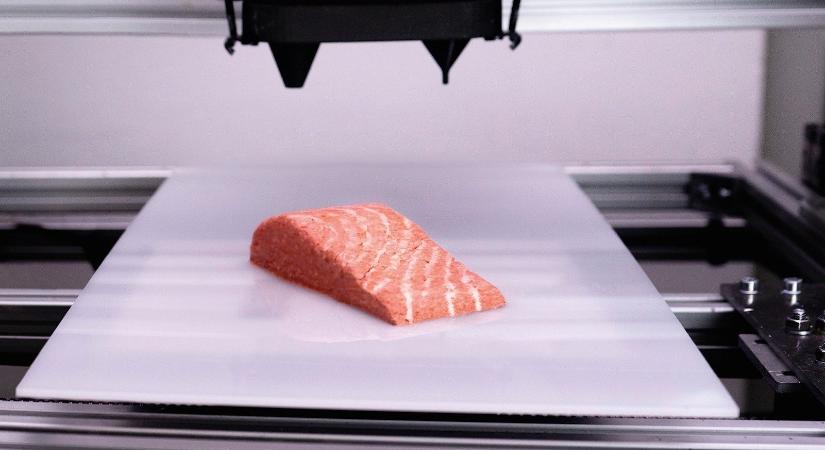 Boltokba kerül a világ első 3D nyomtatással készült vegán lazaca