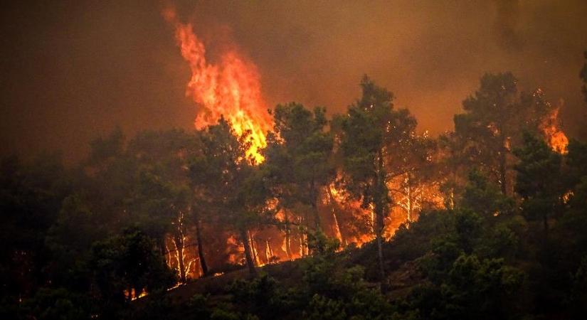 Megtörtént, amitől féltek a kutatók: rémisztő következménye lett az erdőtüzeknek