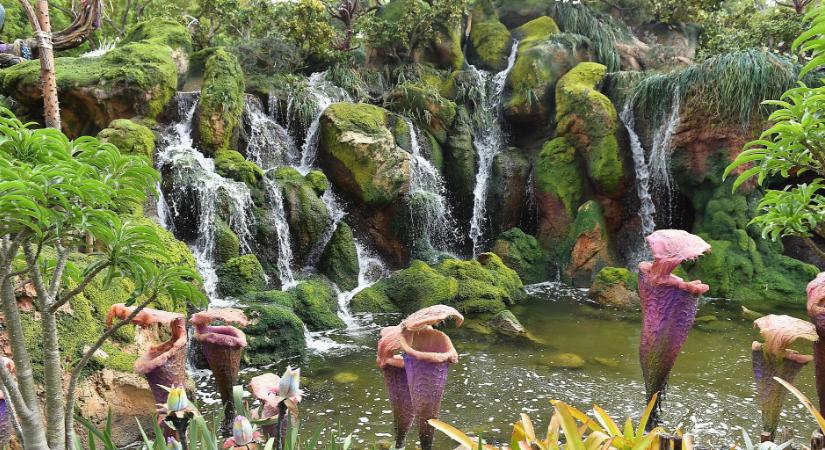 Mintha a Dzsungel könyvéből lépett volna elő ez a floridai kastély