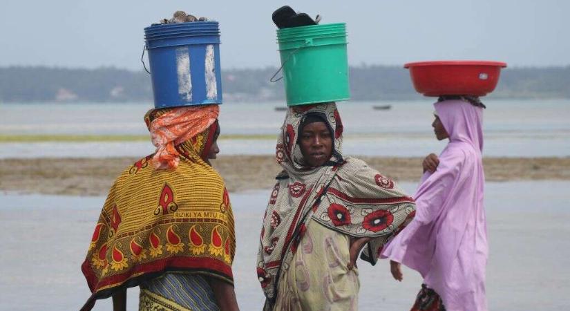A zanzibári nők számára a tengeri szivacsok jelentik a függetlenség zálogát
