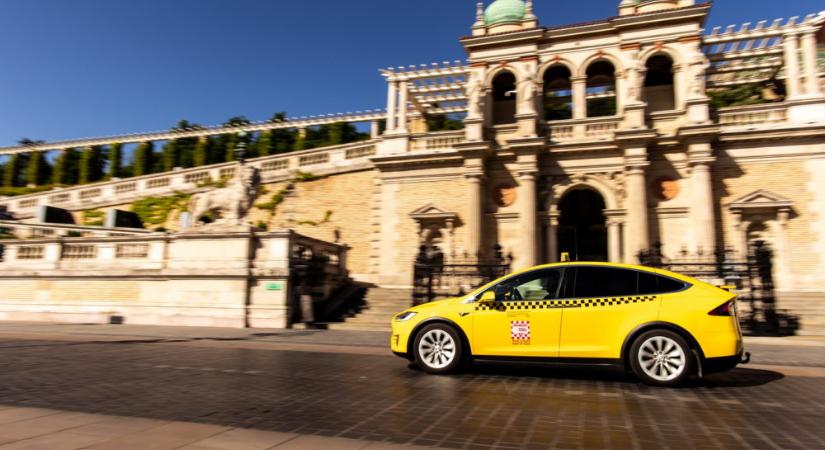 Felpörgette a nyarat a Főtaxi