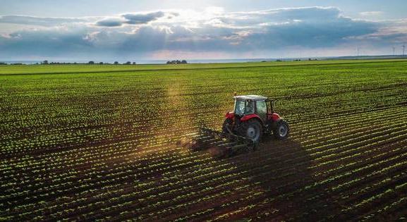 Csökkent az agrárgazdaságok száma Magyarországon - itt vannak a számok