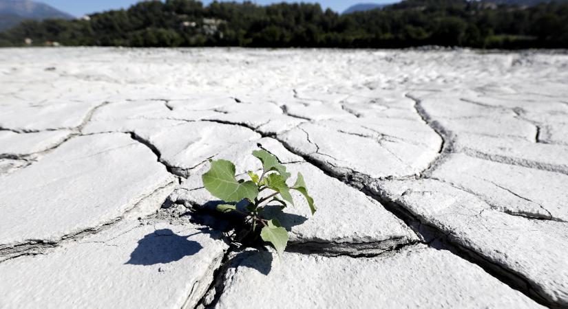 NASA: 2023-ban volt a Föld legmelegebb nyara a mérések kezdete óta