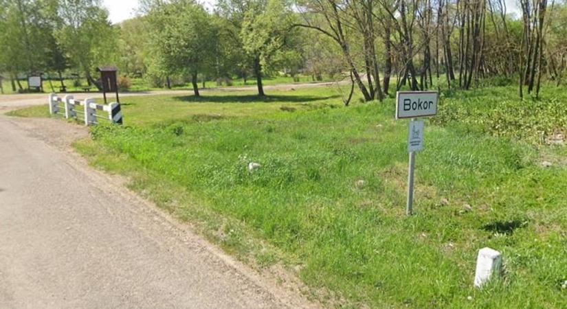 Közösséget és jövőt is építenek Bokor községben