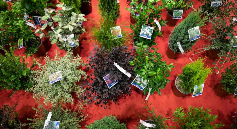 Flormart 2023: Olaszország legnagyobb kertészeti kiállítása