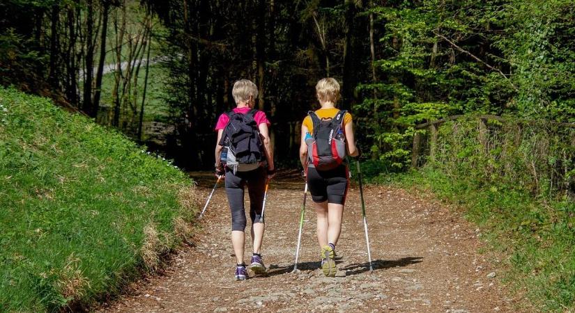 Középpontban az egészség – nordic walking foglalkozás indul Seregélyesen