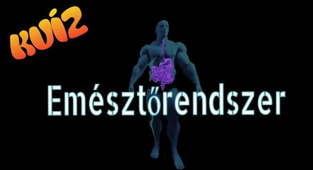 Biológia kvíz: Mennyi ismereted van az emésztőrendszerről? Igen keveseknek sikerül a 8/10 eredmény!