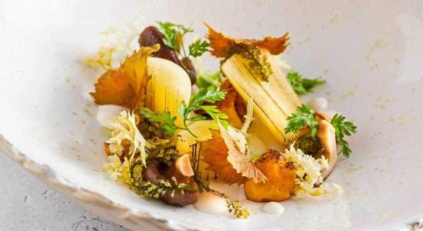 MTÜ: Megőrizték Michelin-csillagjaikat és újakat is szereztek a magyar éttermek