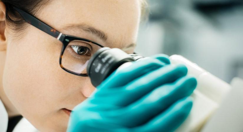 Átadták az idei Ignobel-díjakat