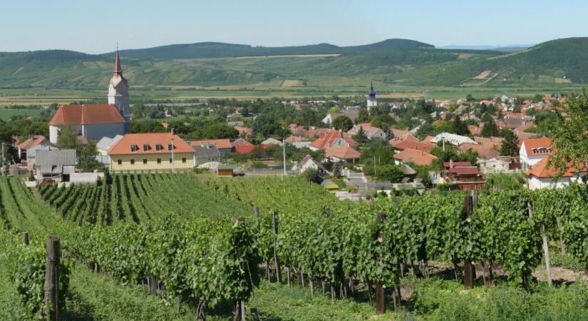 Szent Vencel Napi Bor- és Családi Nap 2023 Tállya