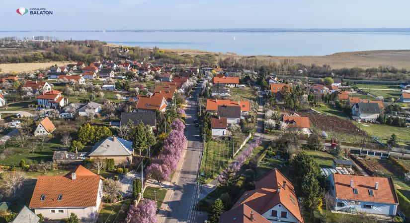 Paloznaki Falunapok és Szüreti Mulatságok 2023