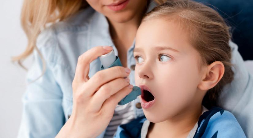Elképesztő felfedezés: megvan, mi véd az allergiától és az asztmától