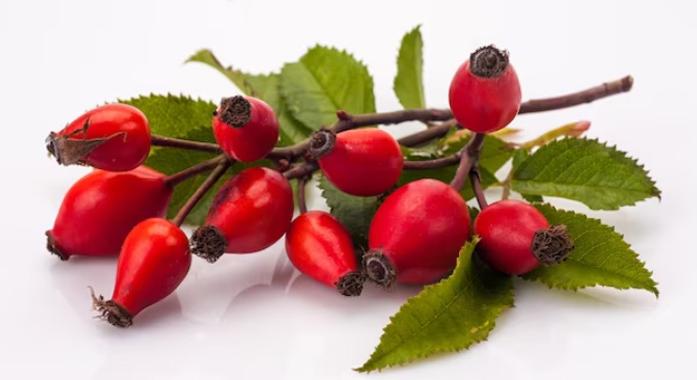 Csipkebogyó - A csipkerózsa áltermése természetes C-vitamin-forrás