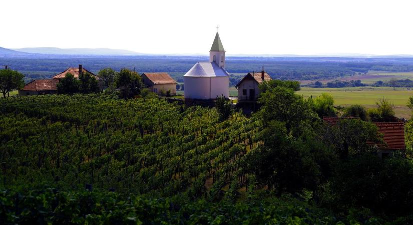 A Blikk kedvenc bora: az elegáns és intenzív Zsirai Nagy-Somlói Juhfark