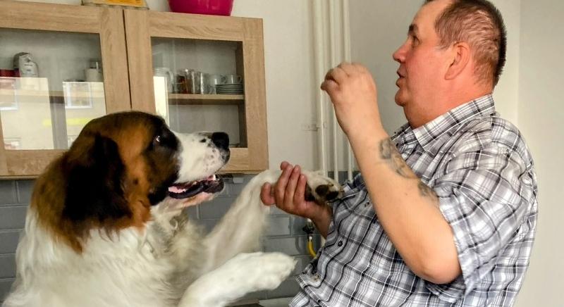 HAT ÉS FÉL MILLIÓ – Somogyi Róbert idősotthonba költözne