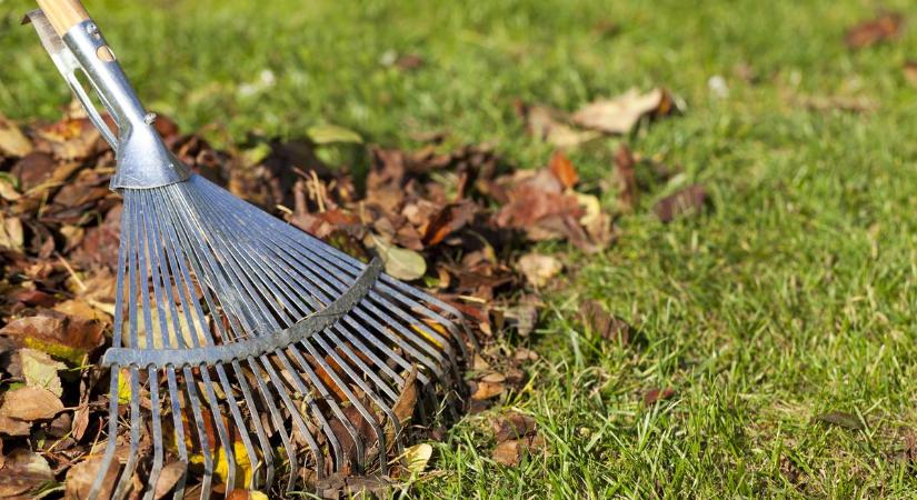 Gyepgondozás ősszel? Ezekről a hasznos lépésekről ne feledkezz meg