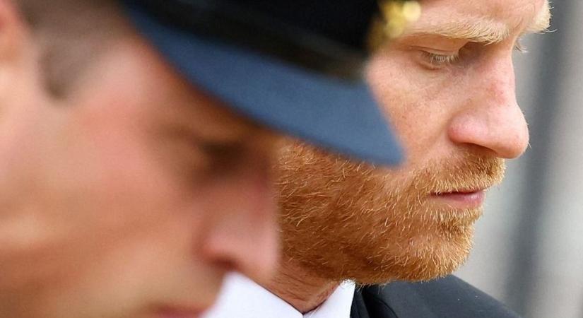 Károly király személyesen tagadta ezt meg Harry hercegtől