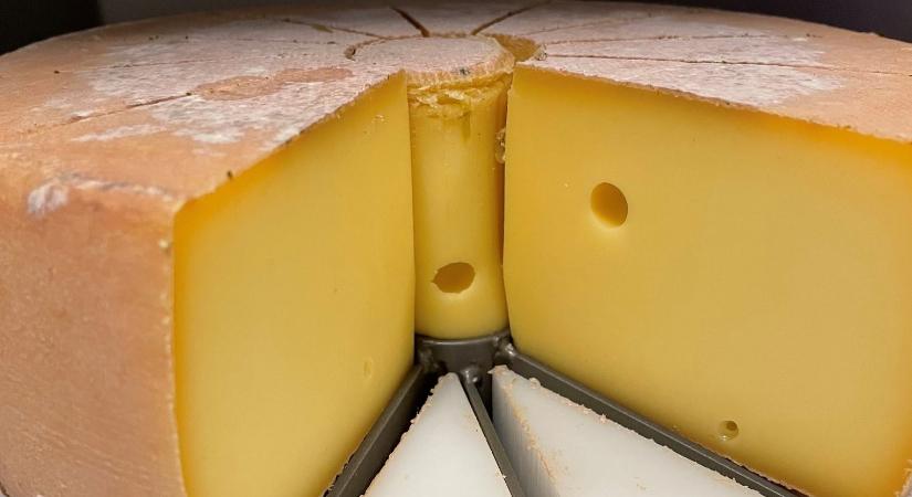 Sajt készült olyan fehérjékkel, amelyek az anyatej fontos összetevői is