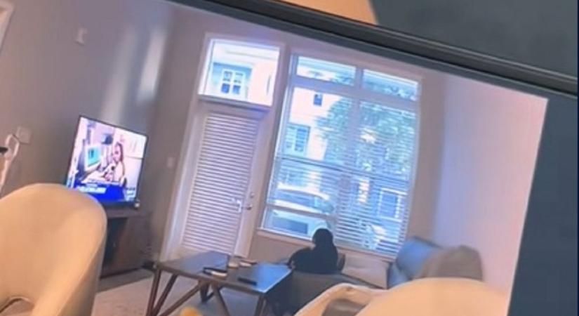 Bűntudata támadt egy nőnek, amikor meglátta a telefonján, mit csinál az otthon hagyott kutyája