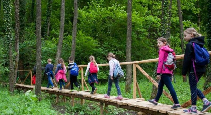 Nagyot mentek a pécsi diákok