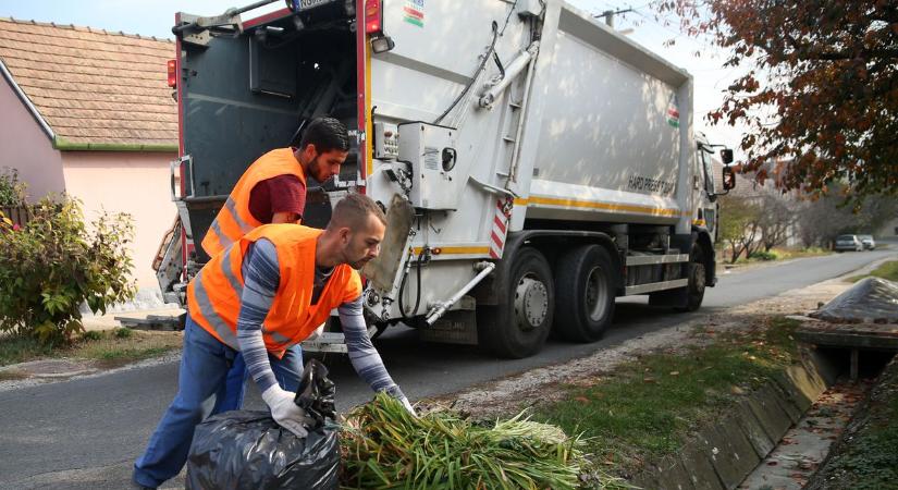 Még ötször gurulnak idén a zöldért a kukások Kaposváron