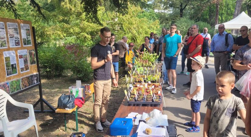 Nagy népszerűségnek örvendett az V. Rovarfogó és egzotikus növények napja a Füvészkertben (Galéria)