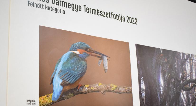 Kihirdették a természetfotó pályázat nyerteseit