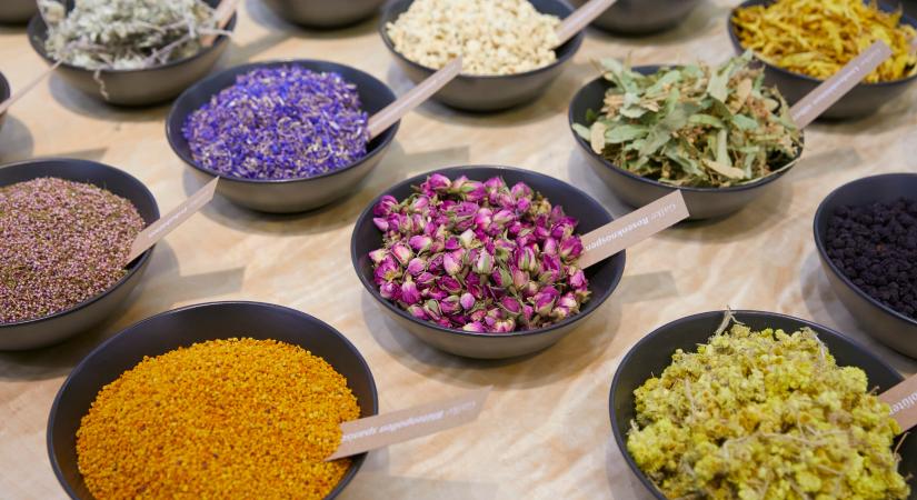 Közel a határidő, de még lehet jelentkezni a Biofach közösségi standjára