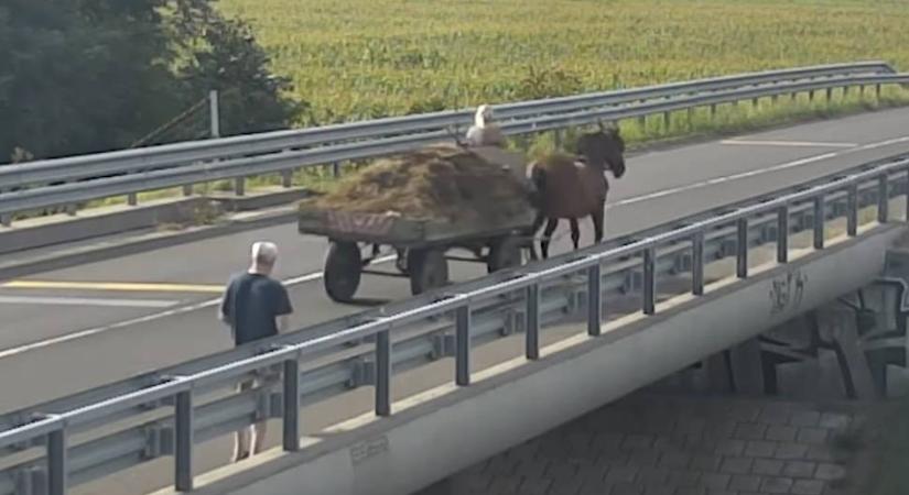 Sörözött az M0 felett, egy lovaskocsi zavarta meg