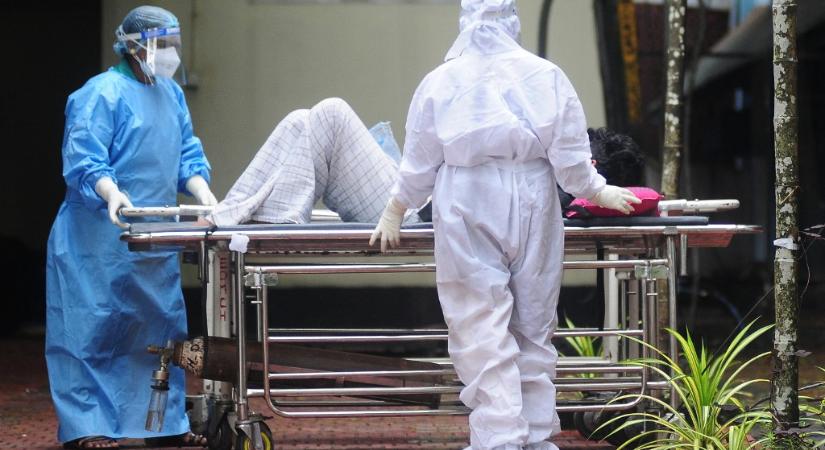 Indiában ismét felbukkant az eddig ismert egyik legveszélyesebb kórokozó, a Nipah vírus, de kell-e tőle tartani Magyarországon?