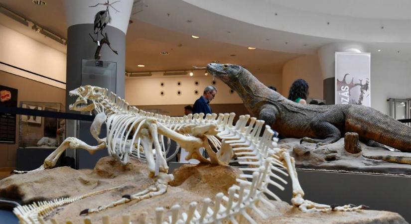 A Természettudományi Múzeum elmúlt 220 évét bemutató kiállítás nyílt