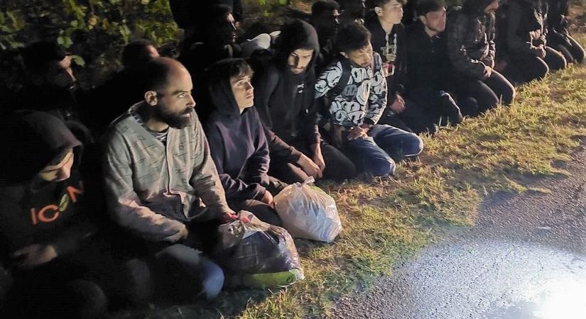 A vadaspark birkái között elvegyülő migránsokat fogtak a tiszajenői polgárőrök